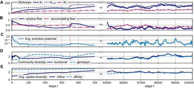 Emergent Diversity and Persistent Turnover in Evolving Microbial Cross-Feeding Networks